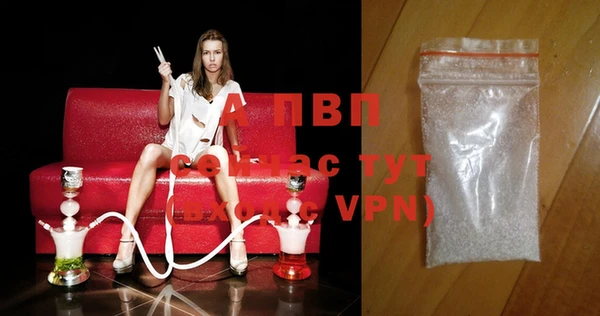 сатива Белоозёрский