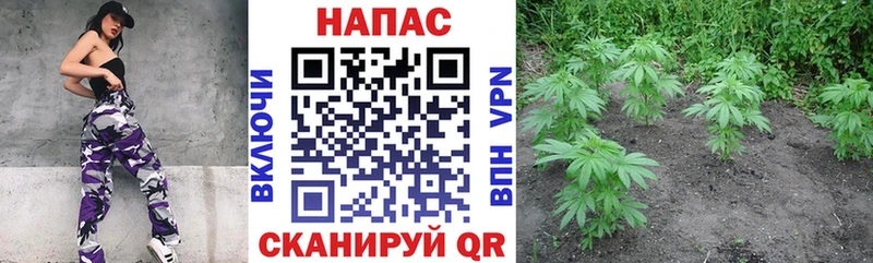 Купить закладки  Алупка  Бошки марихуана ГИДРОПОН 